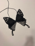 کراپ پروانه🦋✨